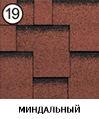 19.png